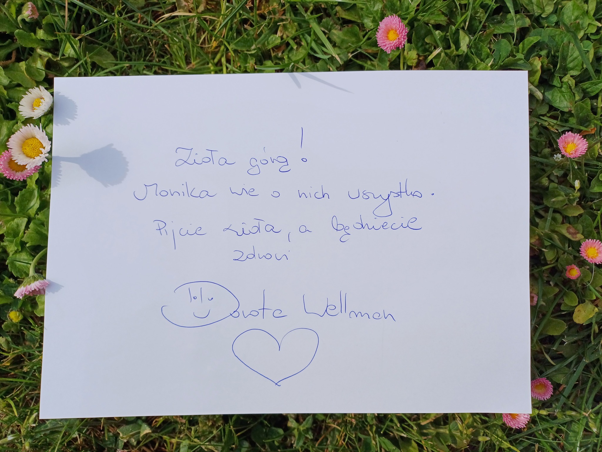 Spotkanie z Dorotą Wellman