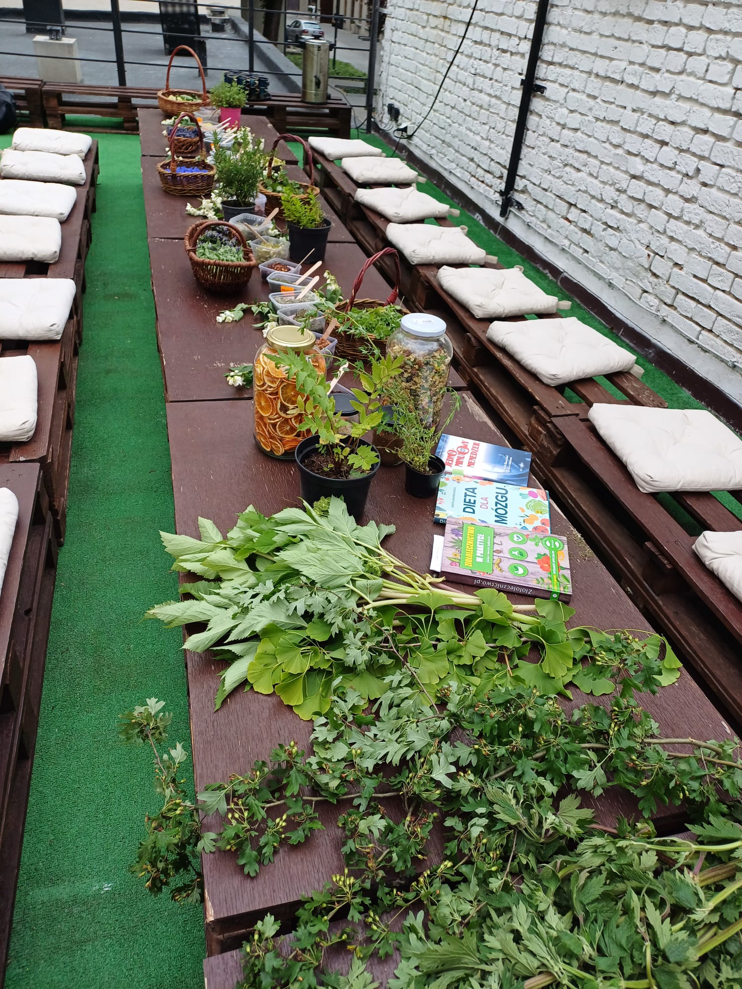 Warsztaty ziołowe dla dorosłych